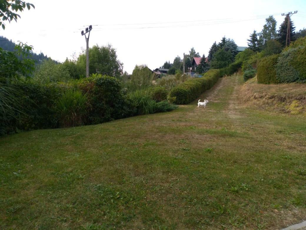 Apartman Kral Albrechtice v Jizerskych horach Exterior foto